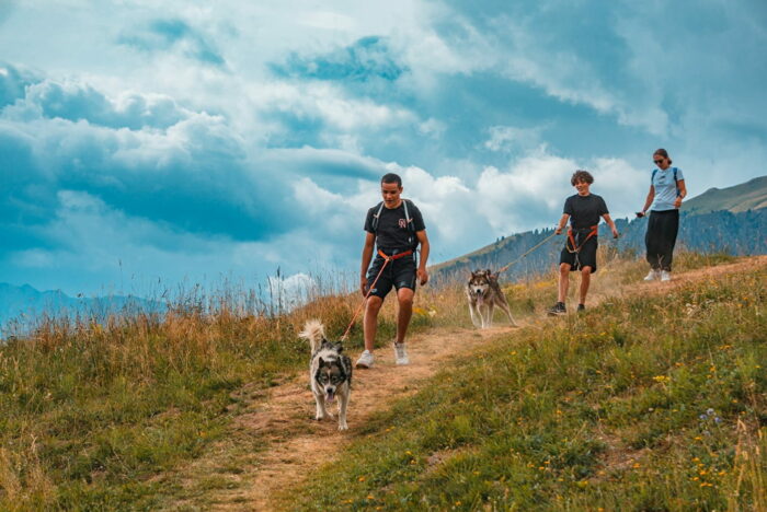 Cani-rando Cani-rando
